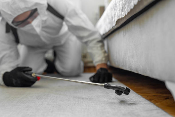 Professional Ant Control technician working in Huntingtown, MD