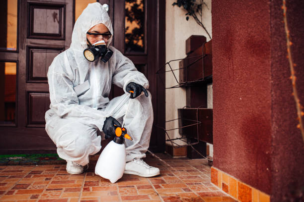 Reliable Ant Control contractor in Huntingtown, MD by Nex Pest Control