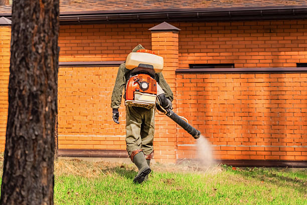 Trusted Fumigation Services service in Huntingtown, MD - Nex Pest Control